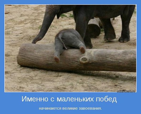 Прикольные мотиваторы в картинках