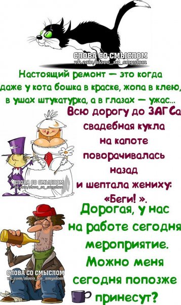 Смешные высказывания