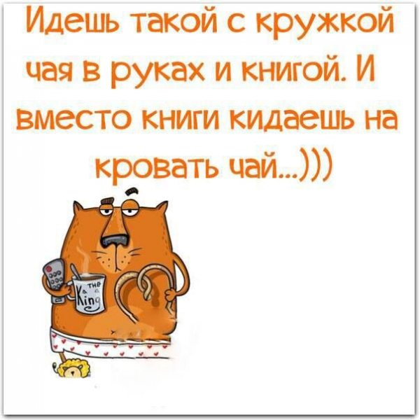 Цитаты прикольные смешные