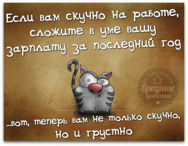 Прикольные фразы