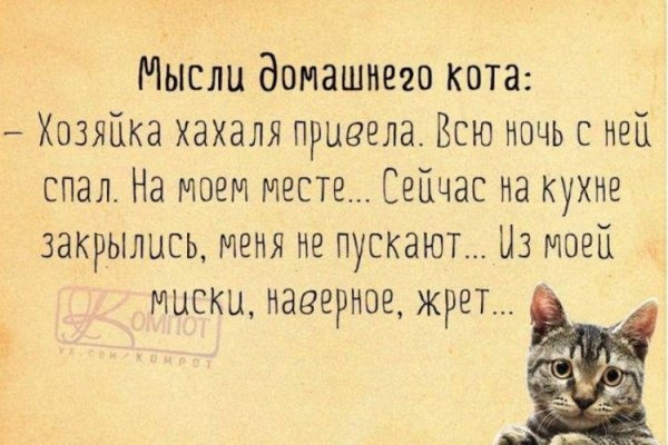 Высказывания о жизни с юмором