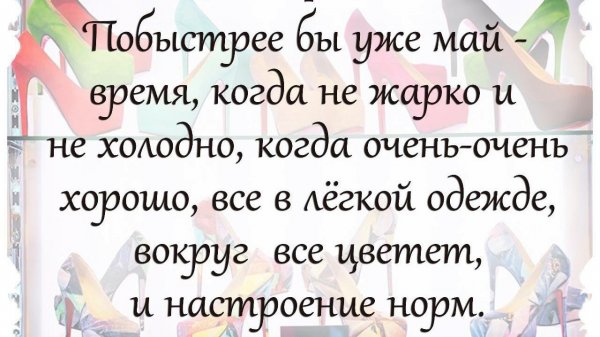 Прикольные афоризмы в картинках