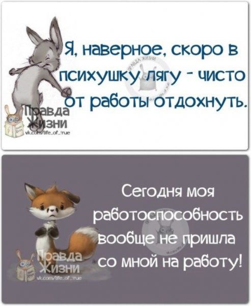 Прикольные высказывания