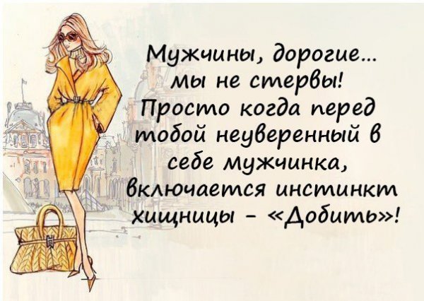 Смешные фразы про женщин