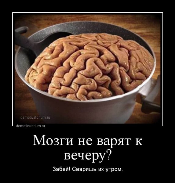 Мозг прикол