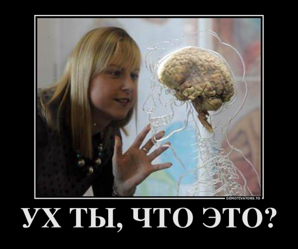 Демотиваторы про блондинок
