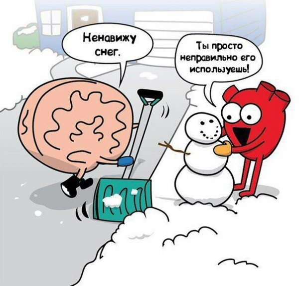 Мозг и сердце