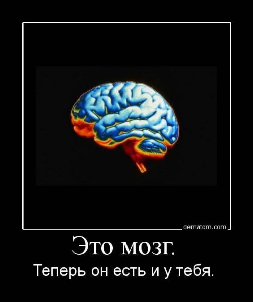 Мозг прикол