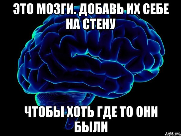 Мозг прикол