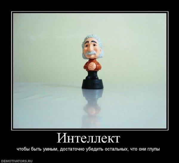 Шутки про интеллект