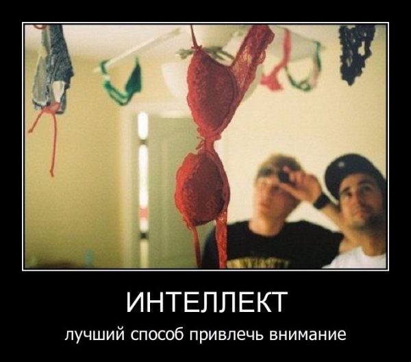 Шутки про интеллект