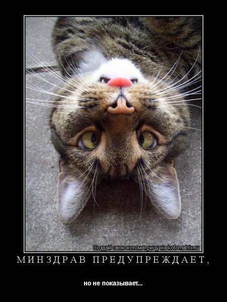 Схожу с ума
