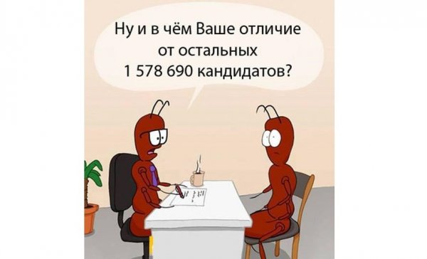 Приколы про собеседование на работу