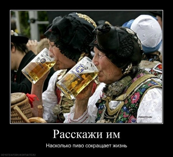 Пиво приколы юмор