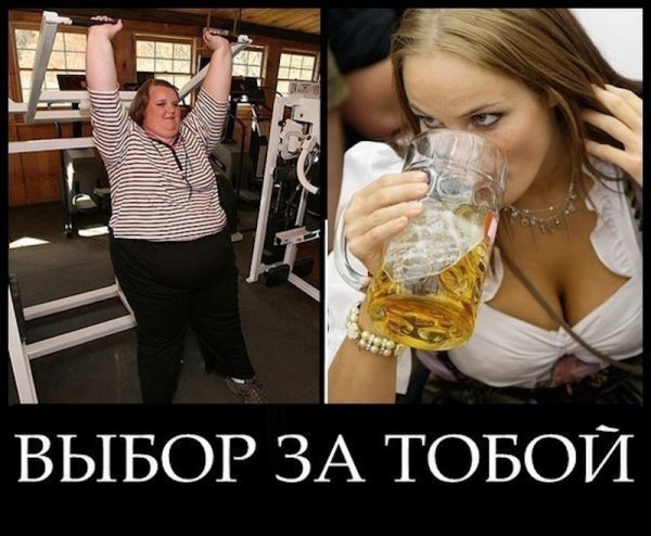 Приколы на тему алкоголя