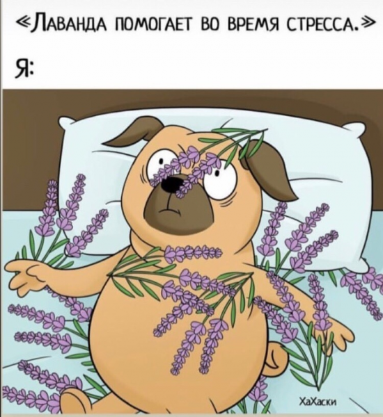 Мемы про стресс