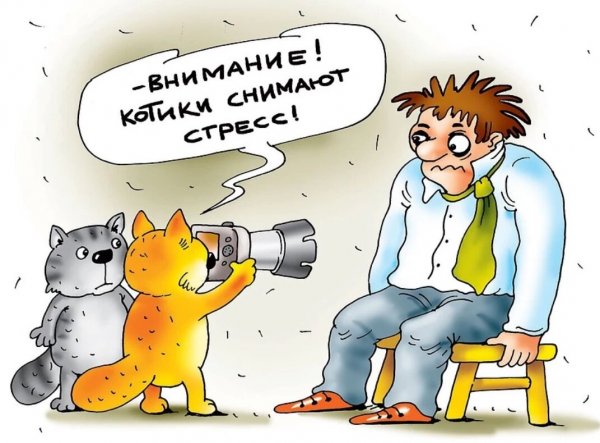 Стрессоустойчивость карикатура