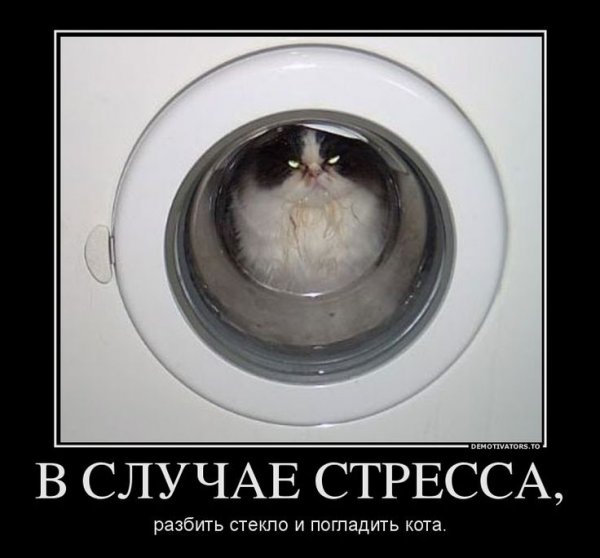 Шутки про стресс