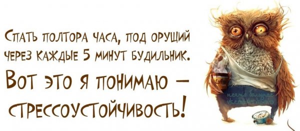 Смешные фразы про стресс