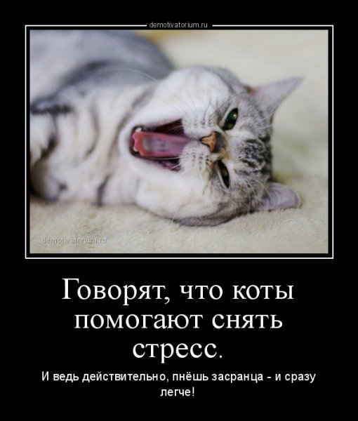 Шутки про стресс