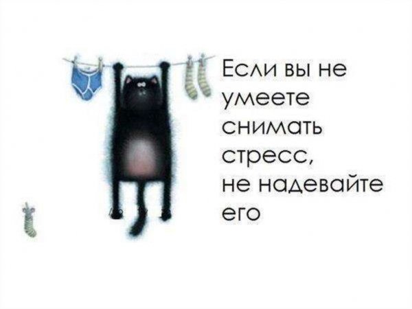 Стрессоустойчивость юмор