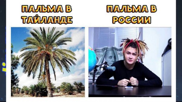 Алишер Моргенштерн Пальма