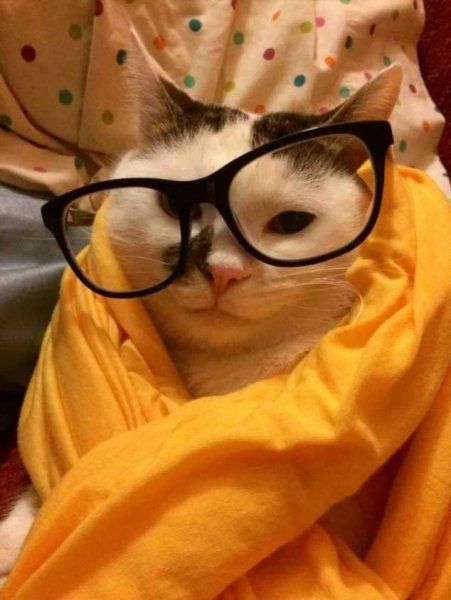 Забавное утро