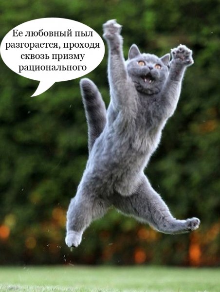 Обезьяна танцует