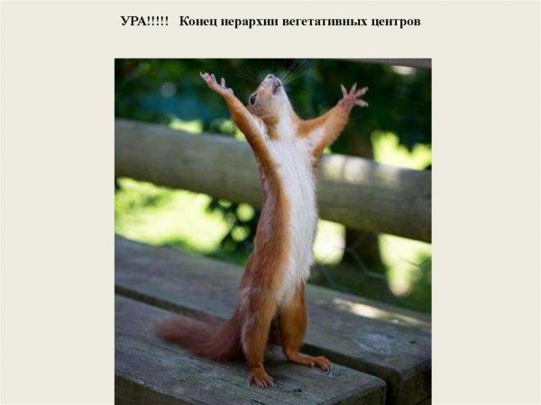 Танцующие животные