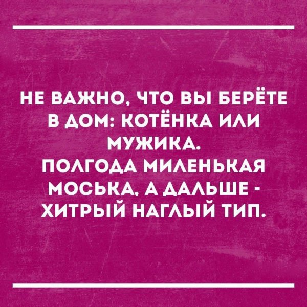 Шутки с сарказмом