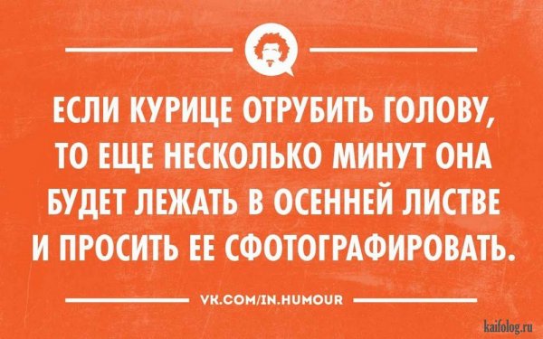 Смешные фразы про еду