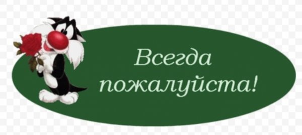 Кот в сапогах Шрек