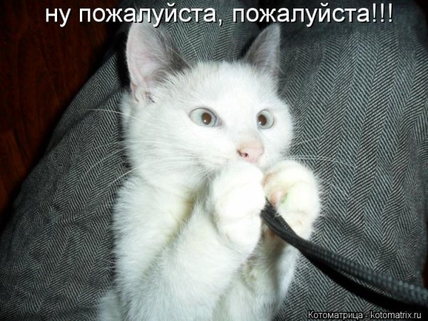 Не за что открытка