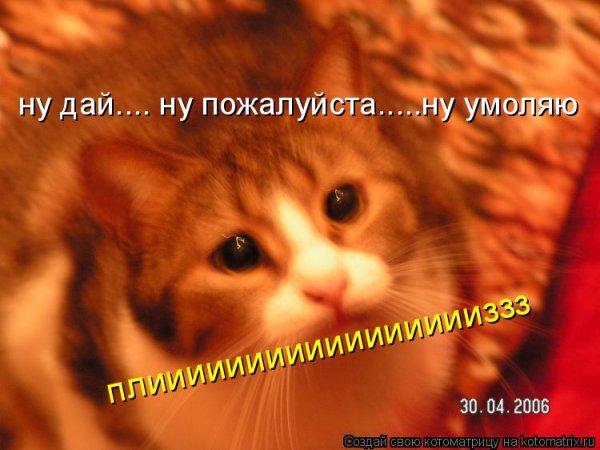 Ну пожалуйста пожалуйста