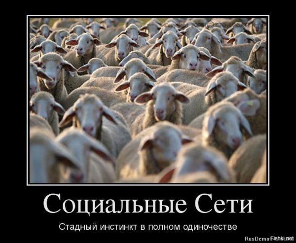 Прикольные комментарии соц сетей