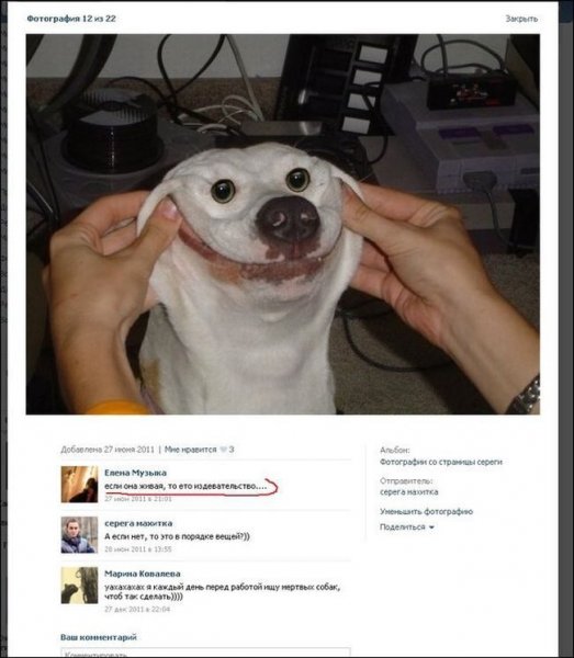 Приколы про социальные сети