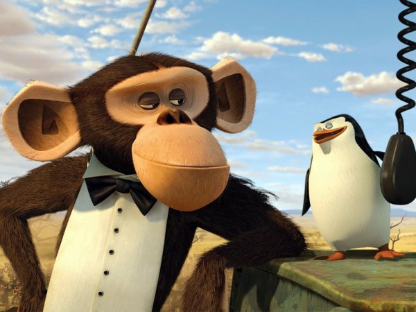 Мадагаскар мультфильм кадры
