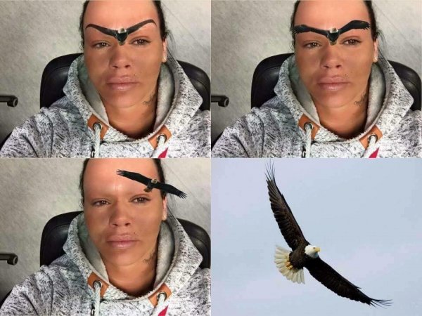 Брови улетели