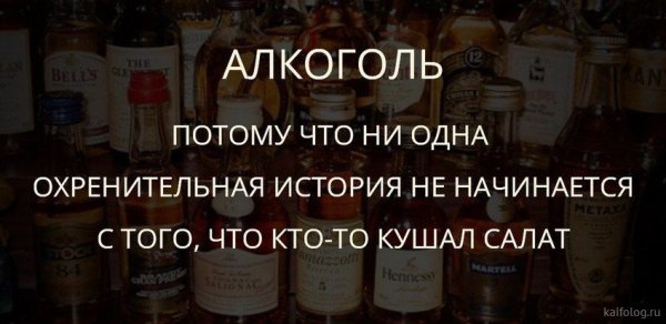 Смешные фразы про алкоголь и девушек