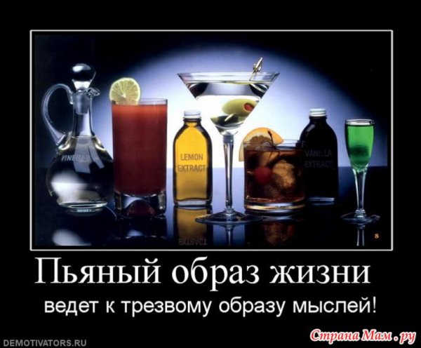 Смешные фото про алкоголь