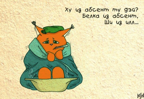 Белка ши болеет