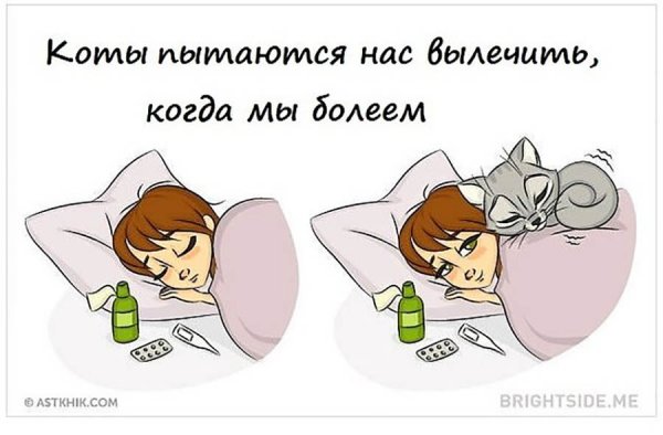 Когда болеешь картинки