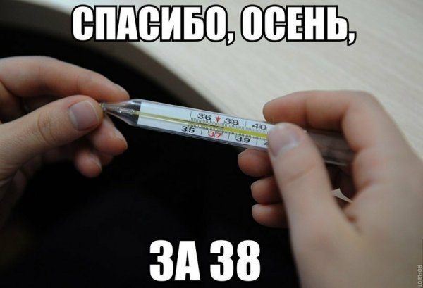 Спасибо осень за 38