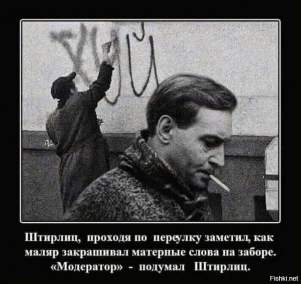 Штирлиц юмор