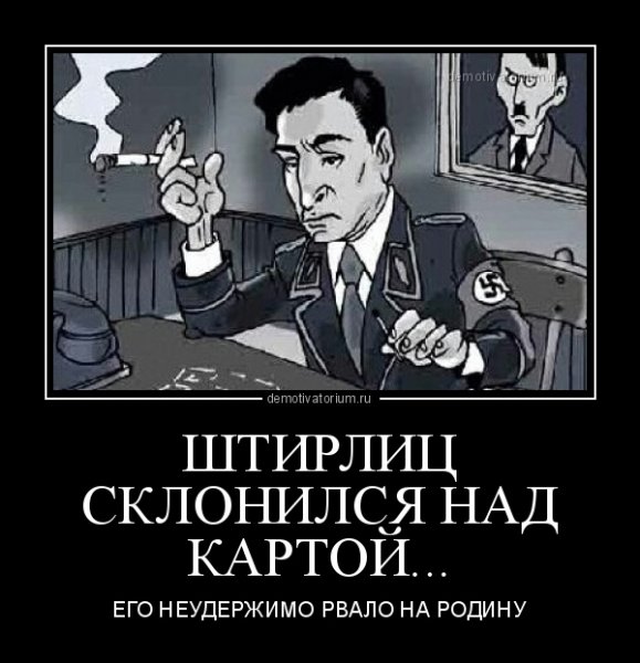 Штирлиц демотиваторы