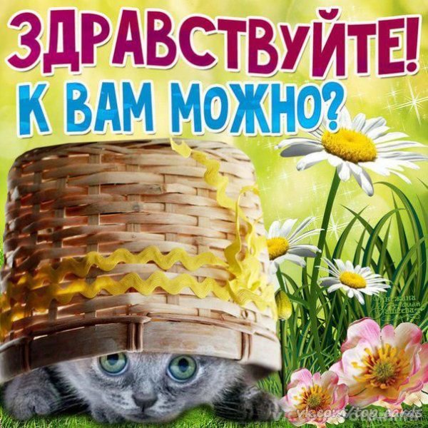 Здравствуйте картинки