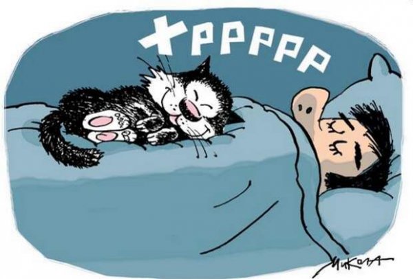 Сон карикатура
