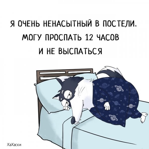 Смешные высказывания про сон