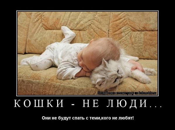 Мотиваторы про сон