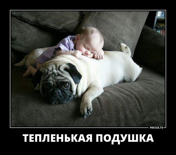 Шутки про сон